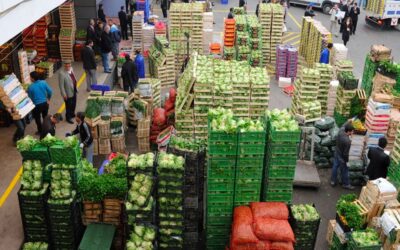 Gıdasız kalma riski kapımızda