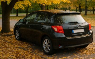 Sonbaharda park ettiğiniz yere dikkat edin: Büyük masraf açıyor