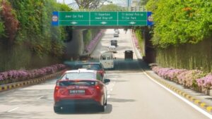 Para içinde yüzen bu ülkede en zor şey araba almak