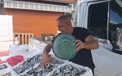 Artvin’de balık tezgahları boş kaldı: Balığın sadece adı kaldı