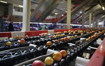 Dünyaya meyve ihraç eden Türk gıda devi mali darboğazda