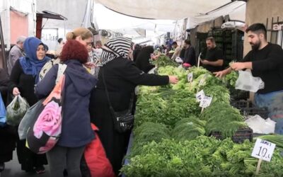 Türkiye’nin hali perişan