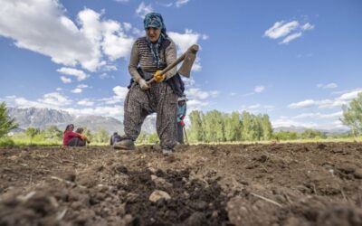 İktidardan çiftçiye darbe