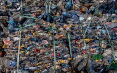 ‘194 milyon dolar için çöplüğe döndük’