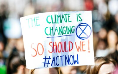 Türkiye'nin Değişen İklimi: Bizi Nasıl Bir Gelecek Bekliyor?