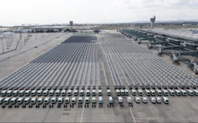 Şimşek’e göre, kamu kurumları tasarruf yapıyormuş!