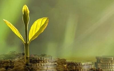 BM’den gelişmiş ülkelere iklim finansmanı çağrısı