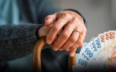 e-Devlet’te “K, Ş, S” harfi görenler dikkat! Emeklilik iptal ediliyor, maaşlar faiziyle geri alınıyor