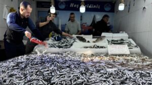 Hamside bu fiyat ilk kez görüldü: Tezgahlarda yoğunluk başladı