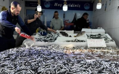 Hamside bu fiyat ilk kez görüldü: Tezgahlarda yoğunluk başladı