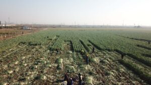 Tarımsal kredilerde faiz desteği geri alındı!