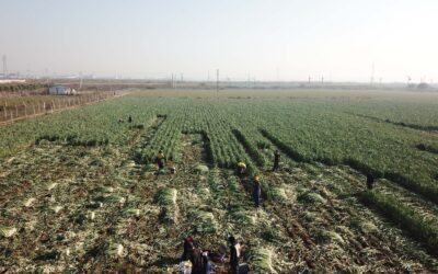 Tarımsal kredilerde faiz desteği geri alındı!