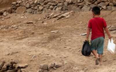 Gülcan Kış: Her çocuk 140 bin lira borçla doğuyor
