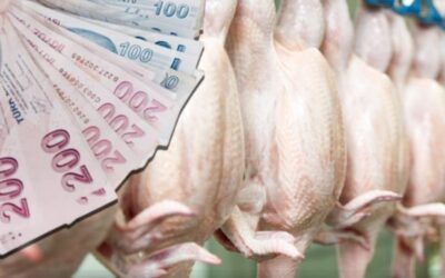 947 milyon TL ceza yiyen Banvit’ten açıklama