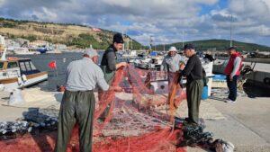 Lüfer avına çıkan balıkçılara palamut sürprizi