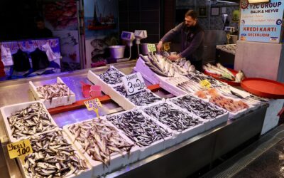 Balık tezgahlarına yoğun ilgi: 3 kilosu 200 liradan satılıyor
