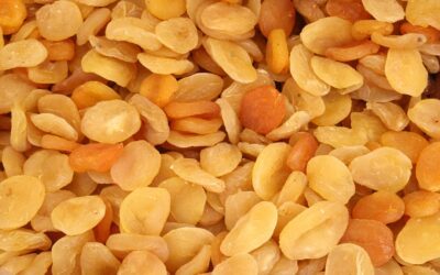 Bakanlık kayısı üreticilerini uyardı: 'Kesinlikle dikkat edin'