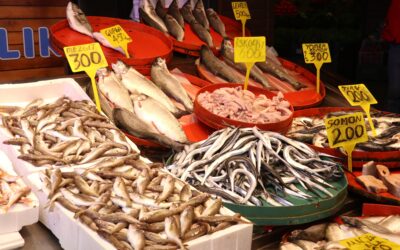 Balık tezgahları karıştı: Hamsi 50 TL'ye düşerken levrek 450 TL'ye dayandı