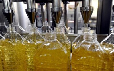 Rusya’dan kritik karar: Ayçiçeği yağı ve tohumunda ihracat vergisi 2028’e kadar uzatıldı