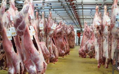 Avrupa'nın 100 yıllık et tedarikçisi iflas etti!