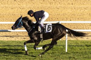 At yarışı sektörü "gizli vergi" tehdidi altında