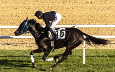 At yarışı sektörü "gizli vergi" tehdidi altında