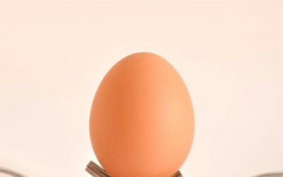 Yumurta Kapıya Gelince: Deyimlerimizdeki Evrimsel Baskı ve "Son Dakika" Kurtuluşunun Biyolojisi