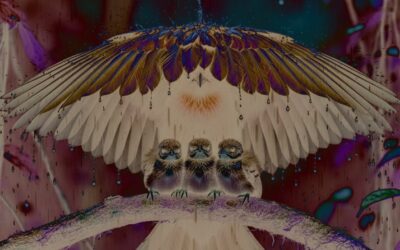 Yapay Zeka Tarafından Üretilen Hayvanlar Bizi Doğadan Uzaklaştırıyor!