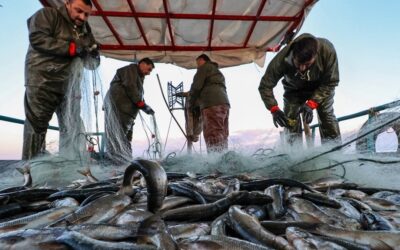 Bakanlık duyurdu: Bu illerdeki balıkçılara en az 5 bin en fazla 12 bin lira  verilecek