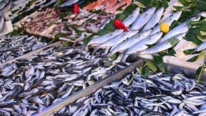 Balık tezgahları şenlendi: Fiyatı 50 liraya düştü