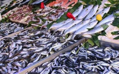 Balık tezgahları şenlendi: Fiyatı 50 liraya düştü