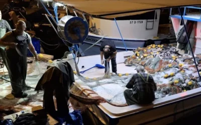 Sabahın ilk ışıklarıyla denize açılan balıkçılar limana servetle döndü