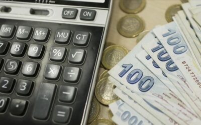 Vergide değişmeyen tablo: Yine çalışanlar ödedi patronlar kaytardı