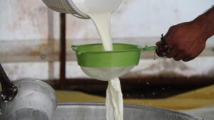 Rekabet Kurumundan süt sanayicilerine sert uyarı: “Üreticiyi yem almaya zorlayan ağır cezayla karşılaşır”