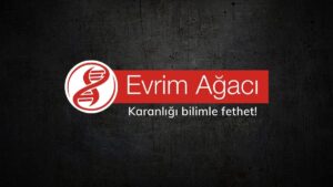 Evrende Akıllı Yaşamı Keşfetmiş Ama Fark Etmemiş Olabiliriz!