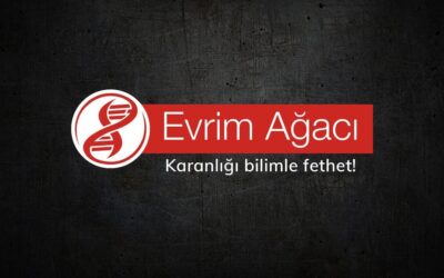 Evrende Akıllı Yaşamı Keşfetmiş Ama Fark Etmemiş Olabiliriz!