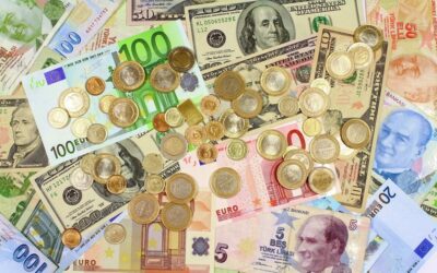 Alman devinden dolar ve euro tahmini: Yükseliş durdurulamayacak