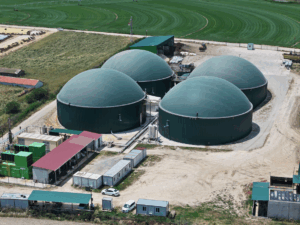 Edirne’de atıklar elektriğe ve doğal gübreye dönüşüyor