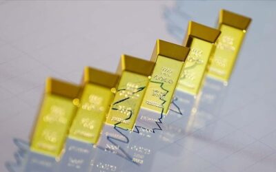 Dünyanın incisi büyük emtia ticaret şirketi kurdu