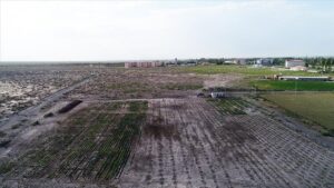 FAO’dan Türkiye’de arazi tahribatını önlemeye 8,15 milyon dolarlık destek