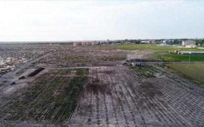 FAO’dan Türkiye’de arazi tahribatını önlemeye 8,15 milyon dolarlık destek