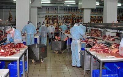 CHP Genel Başkan Yardımcısı Adem: Et ve Süt Kurumu, vatandaşın güvenini kaybetmiştir