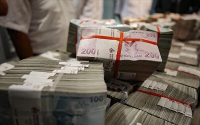 TSPB Başkanı Karagöz: "Faiz indirimleri, yerli yatırımcıyı sermaye piyasalarına geri çekecek"