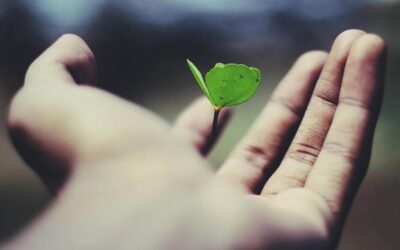 Olumsuz Etkiden Daha Fazla Olumlu Etki Yaratmak: Net Pozitif Nedir?