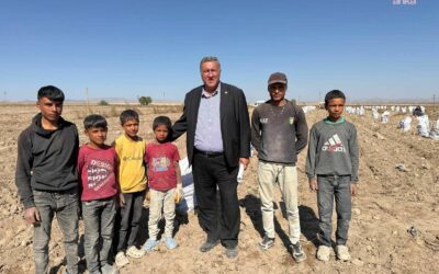 Gürer: Çocuk tarım işçisi eğitim hayatına erişmeli