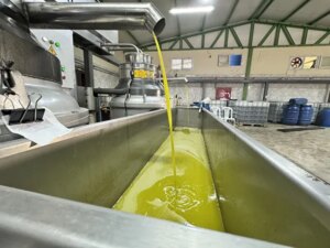 Yaşadığı şehre fabrika kurup tüm mahalleyi işe aldı, Suudi Arabistan'a bile ihraç ediyor