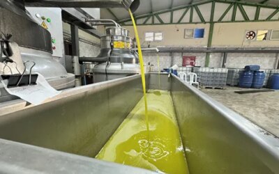 Yaşadığı şehre fabrika kurup tüm mahalleyi işe aldı, Suudi Arabistan'a bile ihraç ediyor