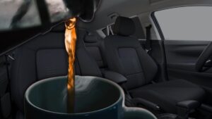 İşte bu yüzden kasım ayında arabanıza kahve koymanız gerekiyormuş