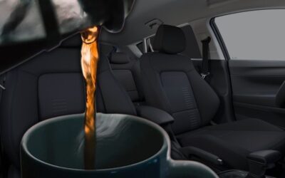 İşte bu yüzden kasım ayında arabanıza kahve koymanız gerekiyormuş