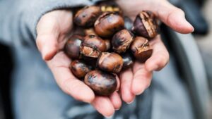 Kestanenin fiyatı cep yakıyor